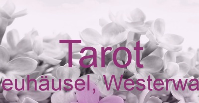 Tarot Neuhäusel, Westerwald | Top-Experten für Kartenlegen, Wahrsagen, Hellsehen, Zukunftsdeutung. Tarot Neuhäusel, Westerwald | Top-Experten für Kartenlegen, Wahrsagen, Hellsehen, Zukunftsdeutung.